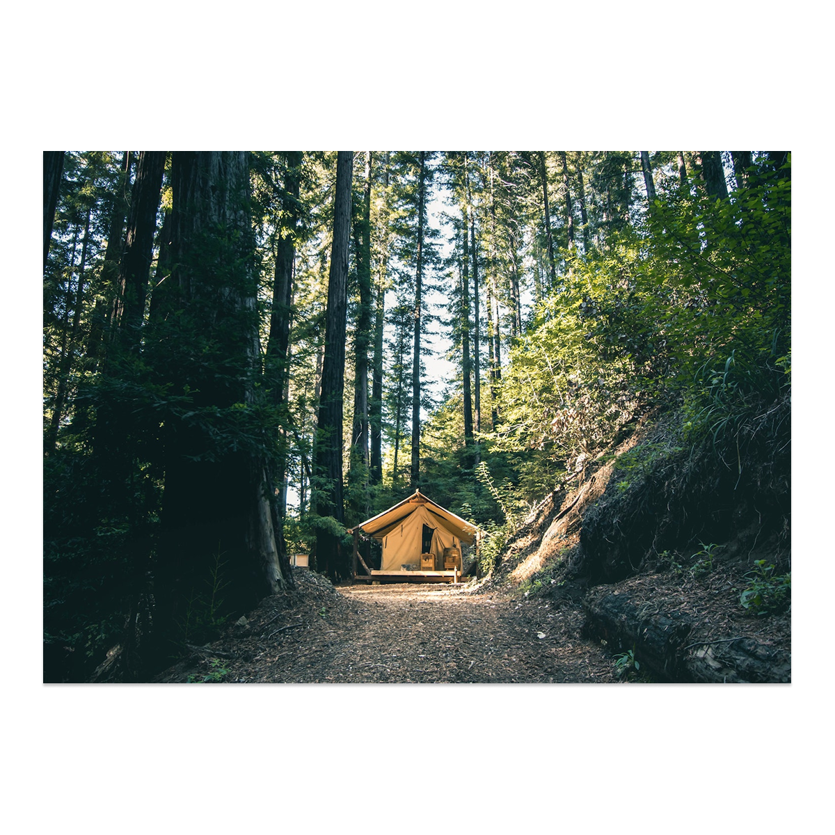 2026 Wall Tents Buyers Guide